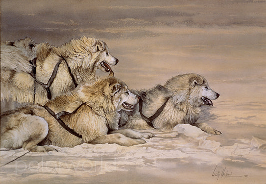 Huskies - Fine Art Print by Sir Wally Herbert