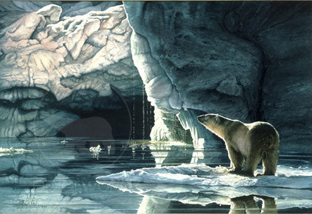Ice Bear Fine Art Print