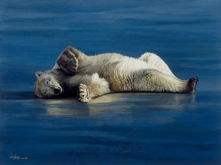 Polar Bear on New Ice