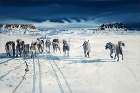 Landfall on Svalbard Fine Art Print