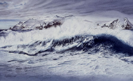 Point Wild Offshore Fine Art Print