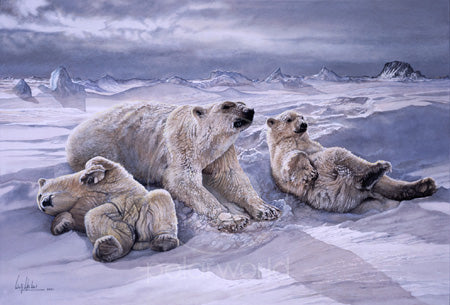 Mother Bear and Cubs
