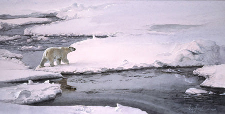 Solitary Bear by Sir Wally Herbert